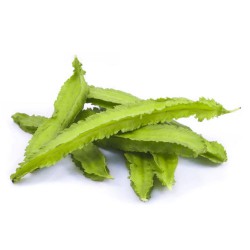 Winged Bean 80g