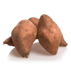 Sweet Potato