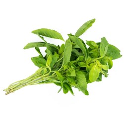 Holy Basil Leaf